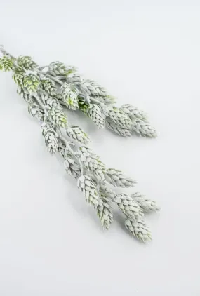 Artificial, frosted, hops greenery spray