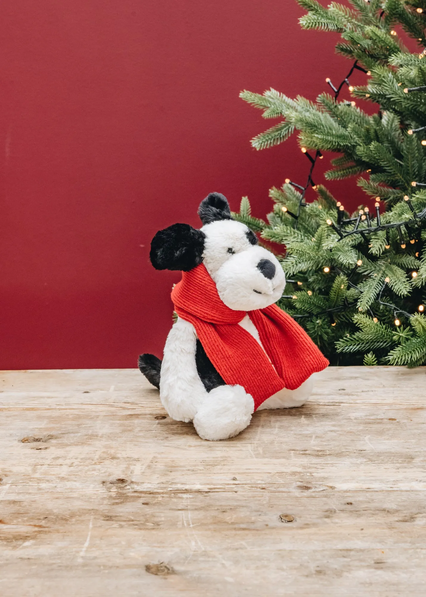 Bashful Winter Puppy