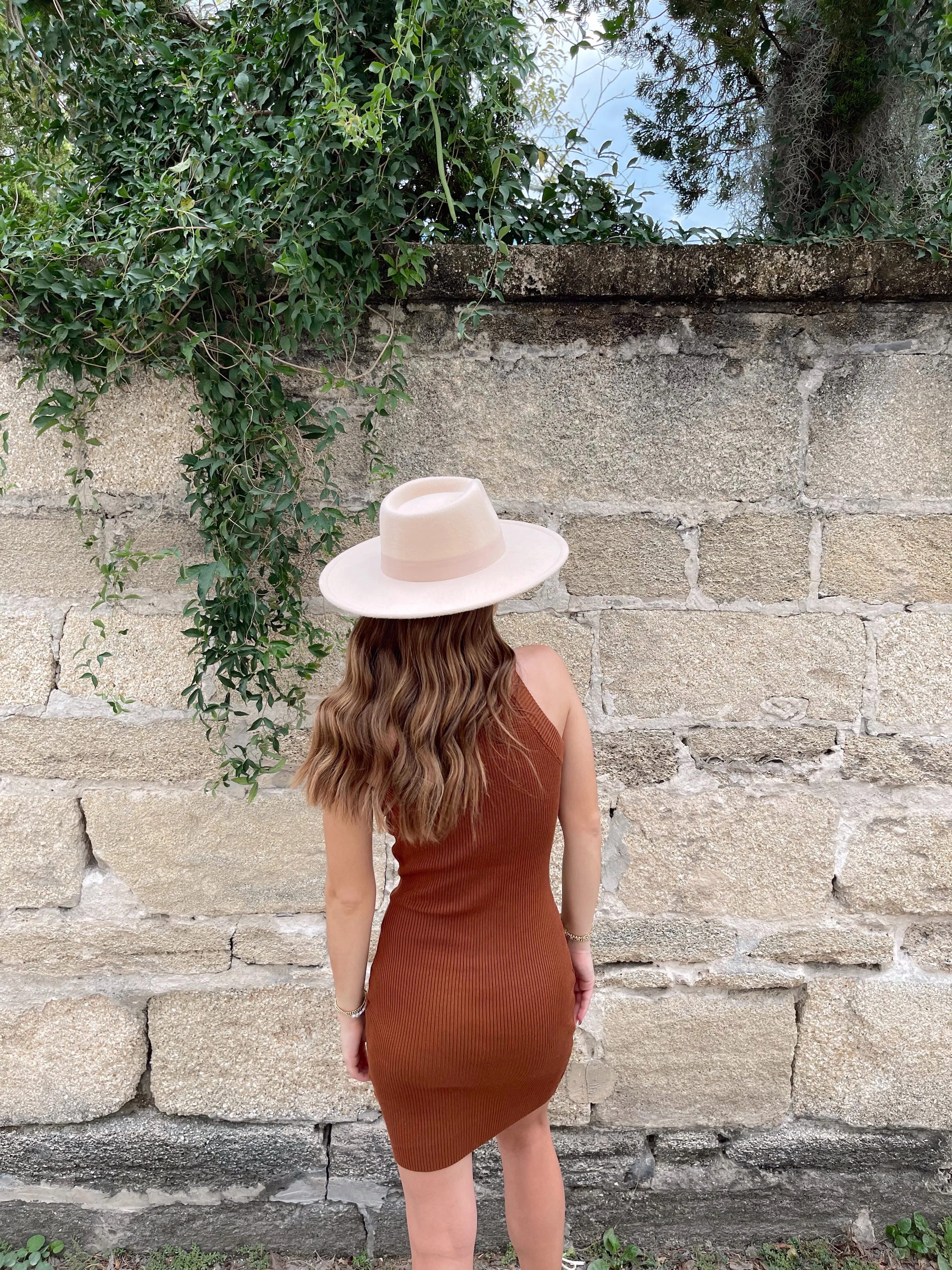 Cinnamon Knit Mini Dress