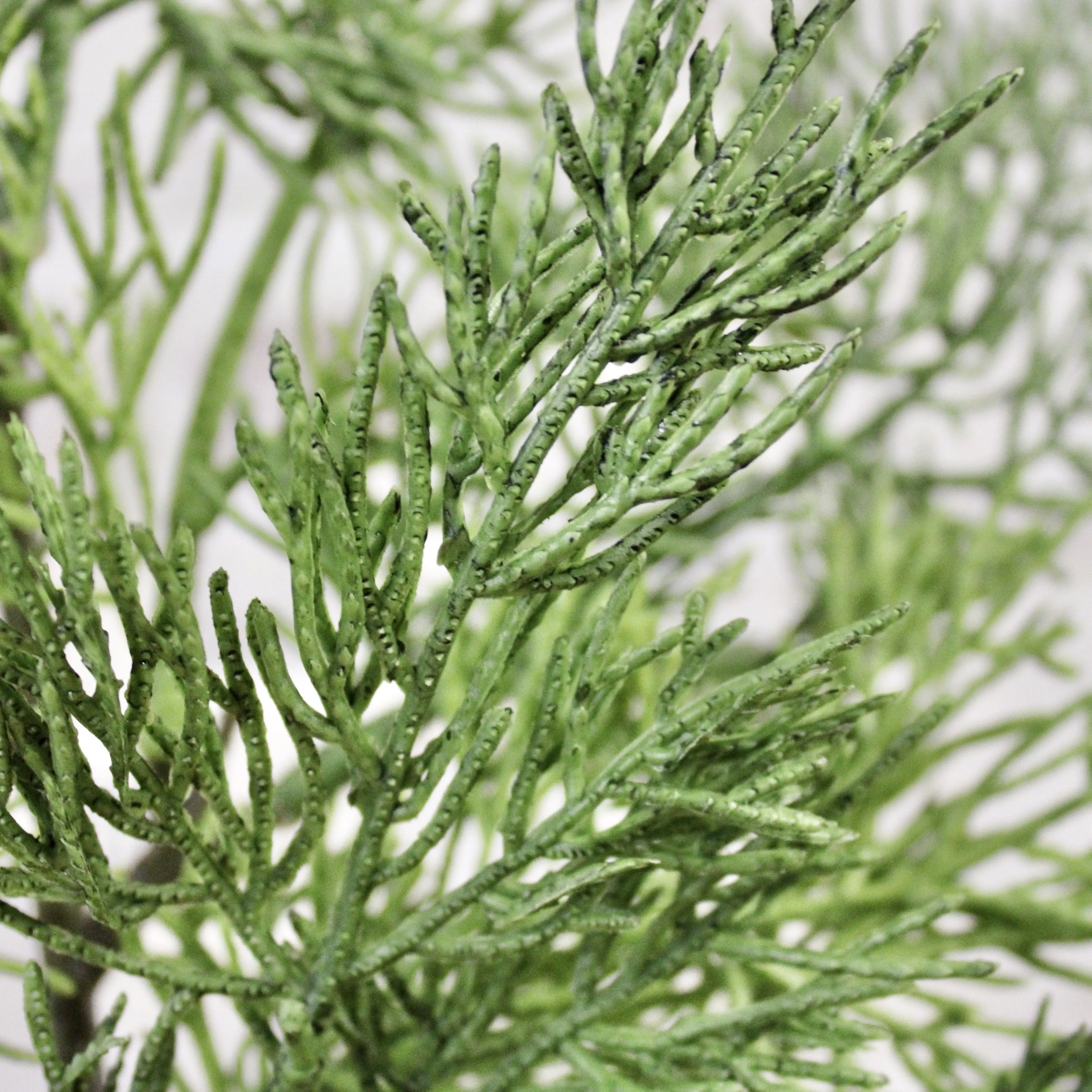 Eastern White Cedar Spray (Real Touch)