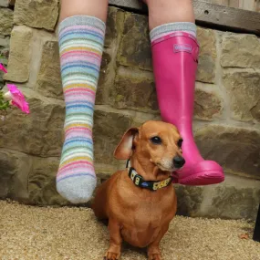 Evie Rainbow Boot Socks