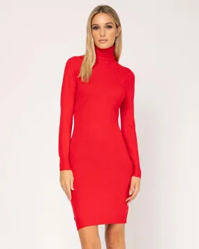 Knit Dress With Turtleneck.