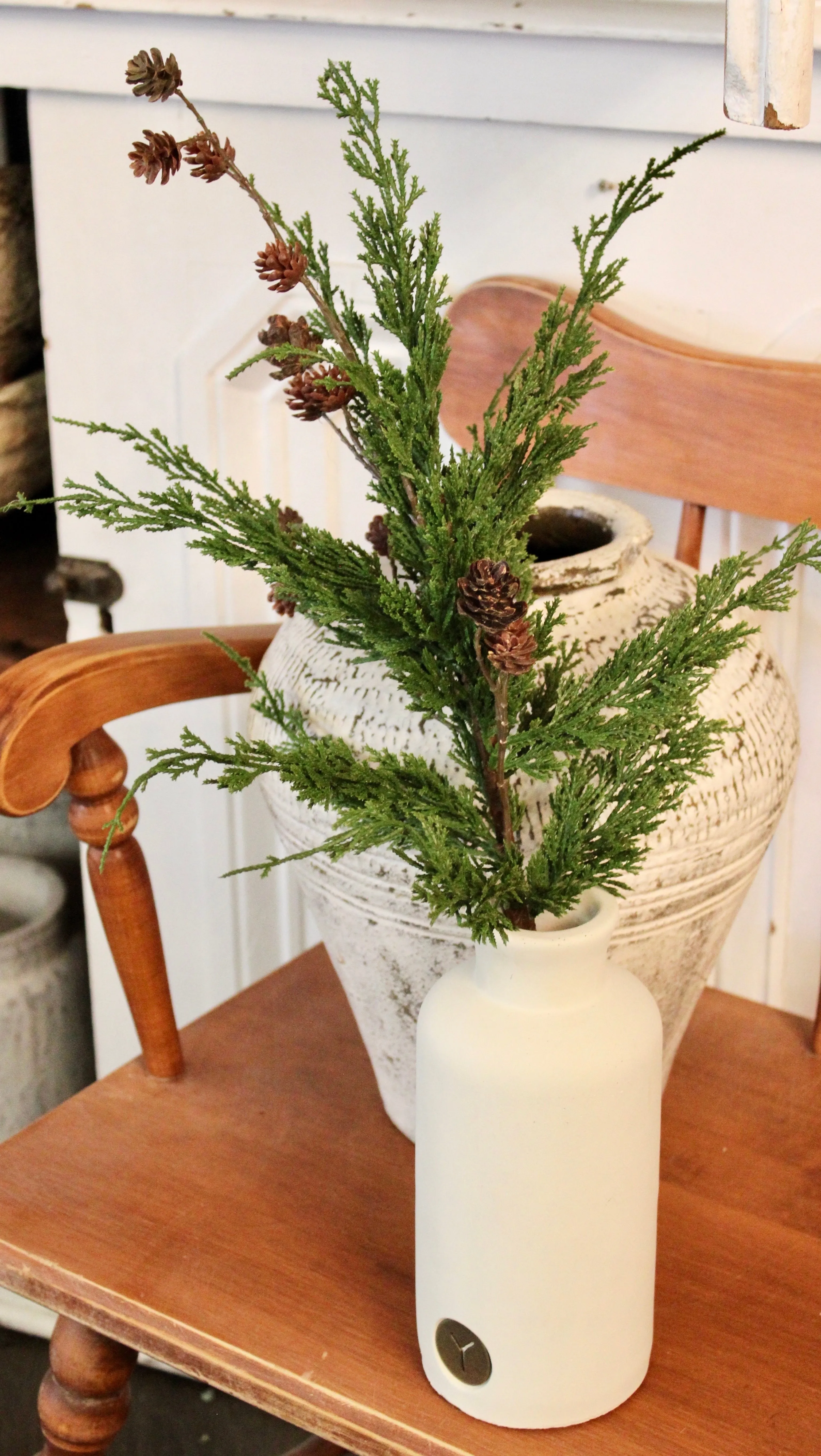 Monterey Cypress Branch (Real Touch)