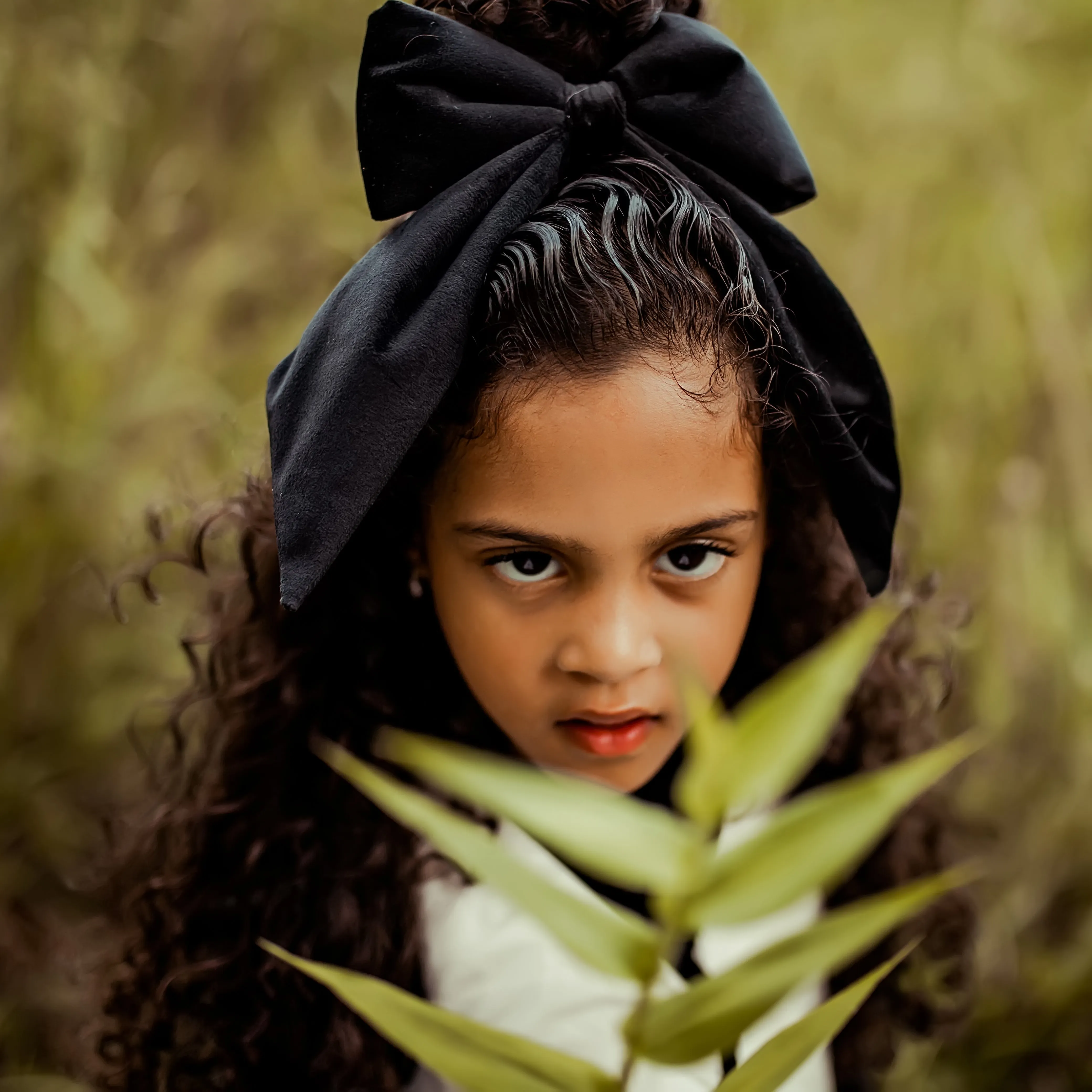 Velvet Padded Bow Statement Clips