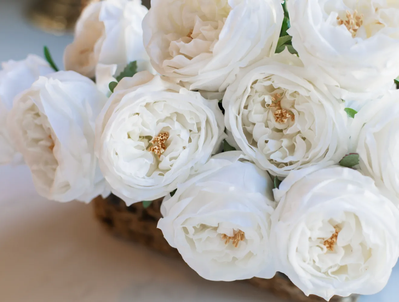 WINTER REAL TOUCH WHITE  LONG STEM ROSE