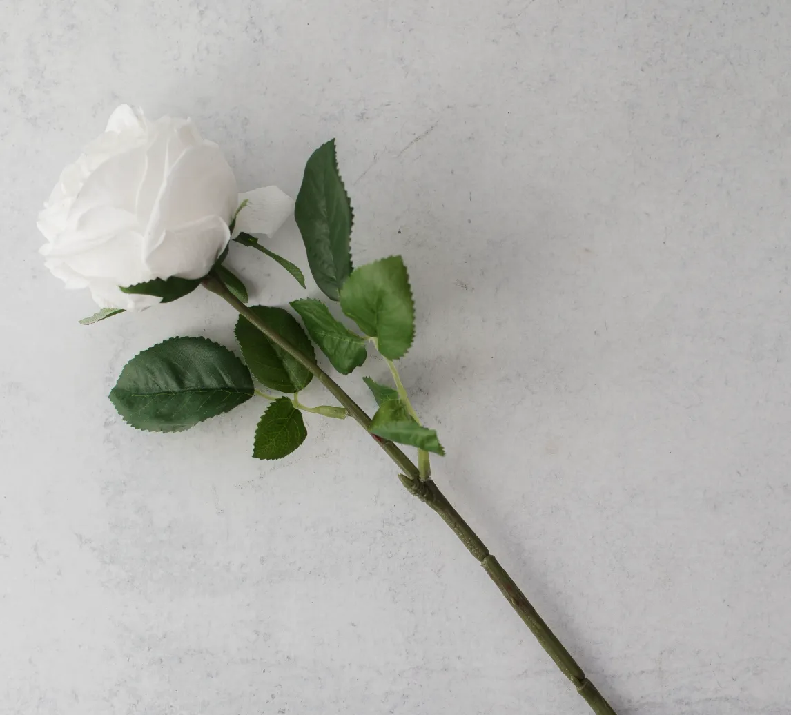 WINTER REAL TOUCH WHITE  LONG STEM ROSE