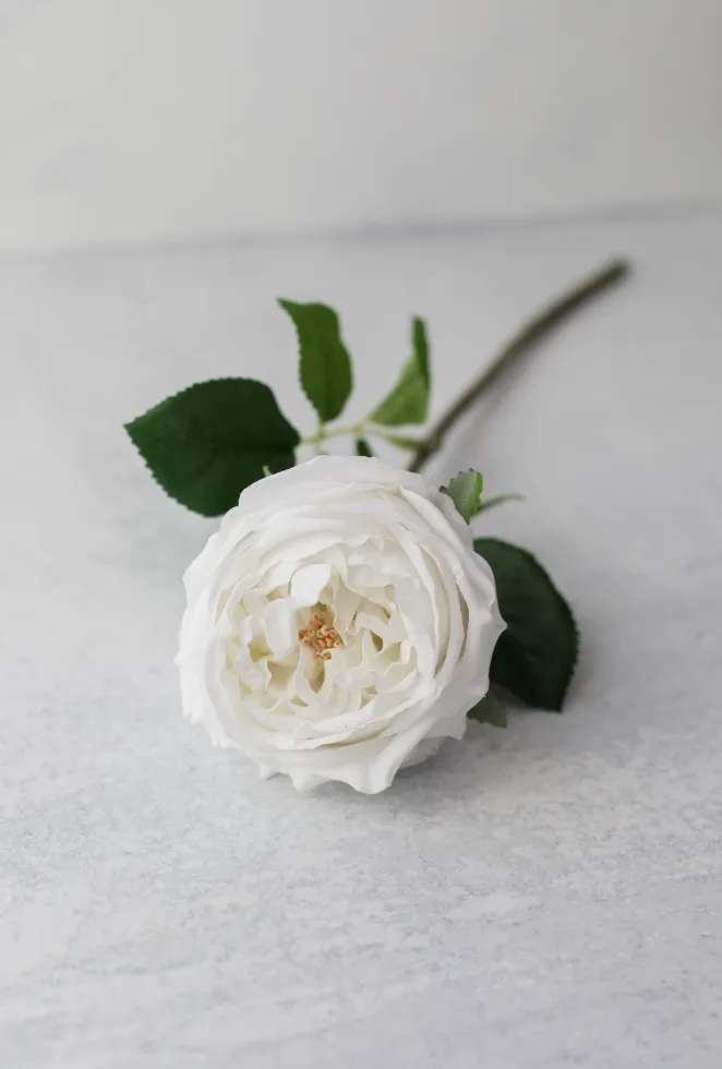 WINTER REAL TOUCH WHITE  LONG STEM ROSE